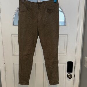 Torrid Olive Jeggings